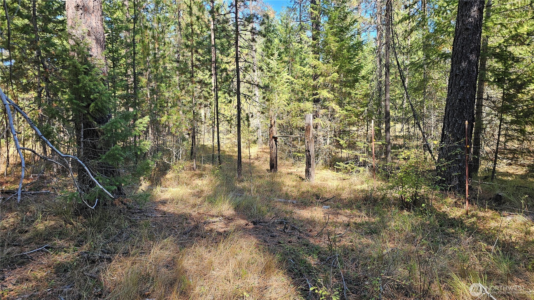 385 X Agar Road Property Photo 12