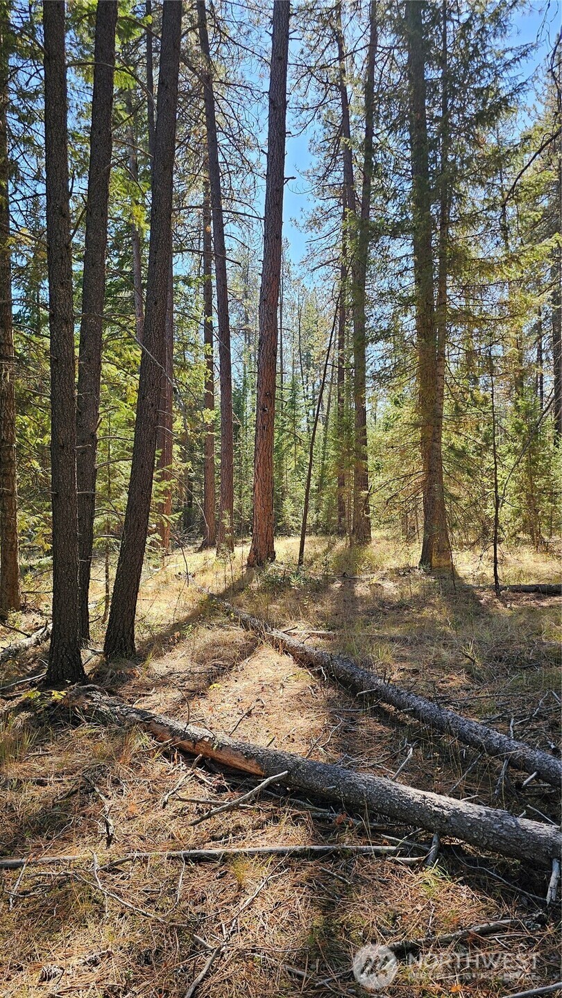 385 X Agar Road Property Photo 13