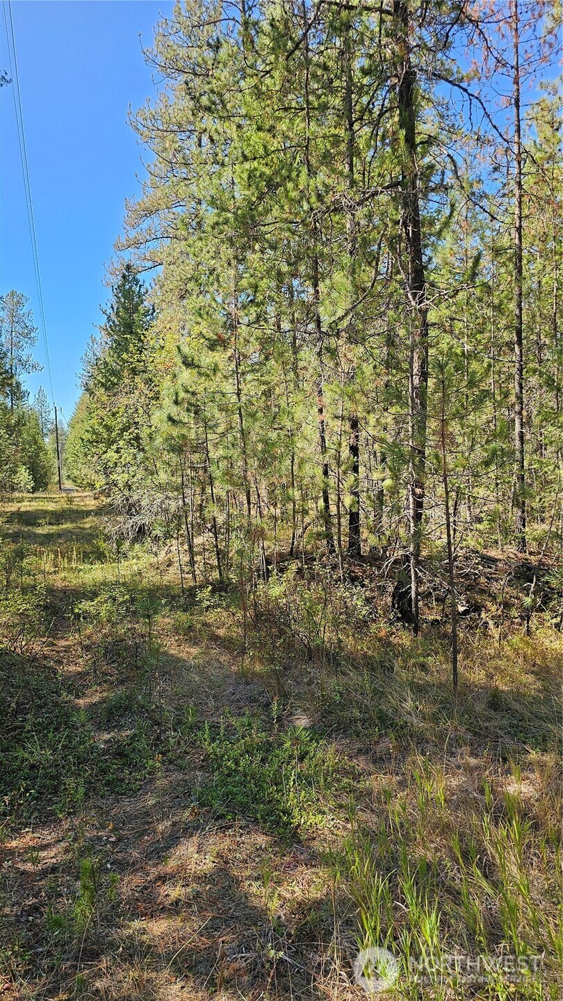 385 X Agar Road Property Photo 15
