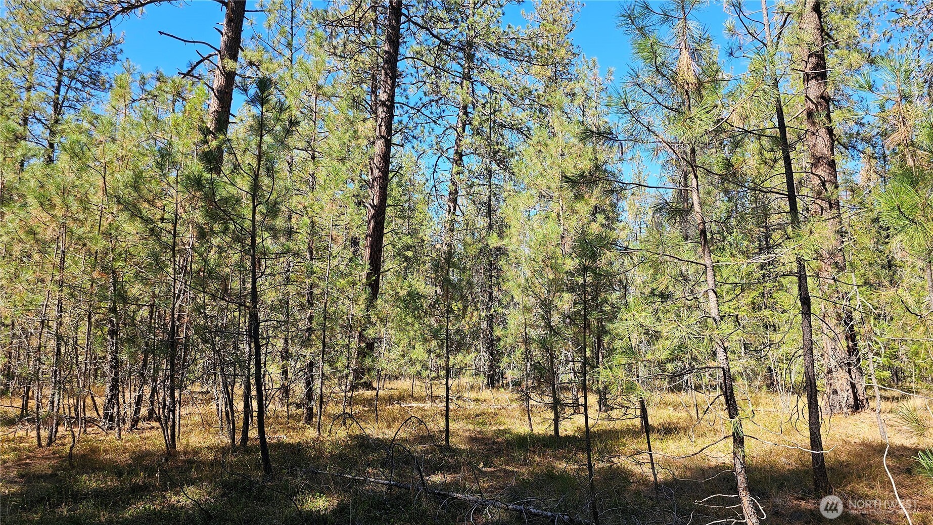 385 X Agar Road Property Photo 17