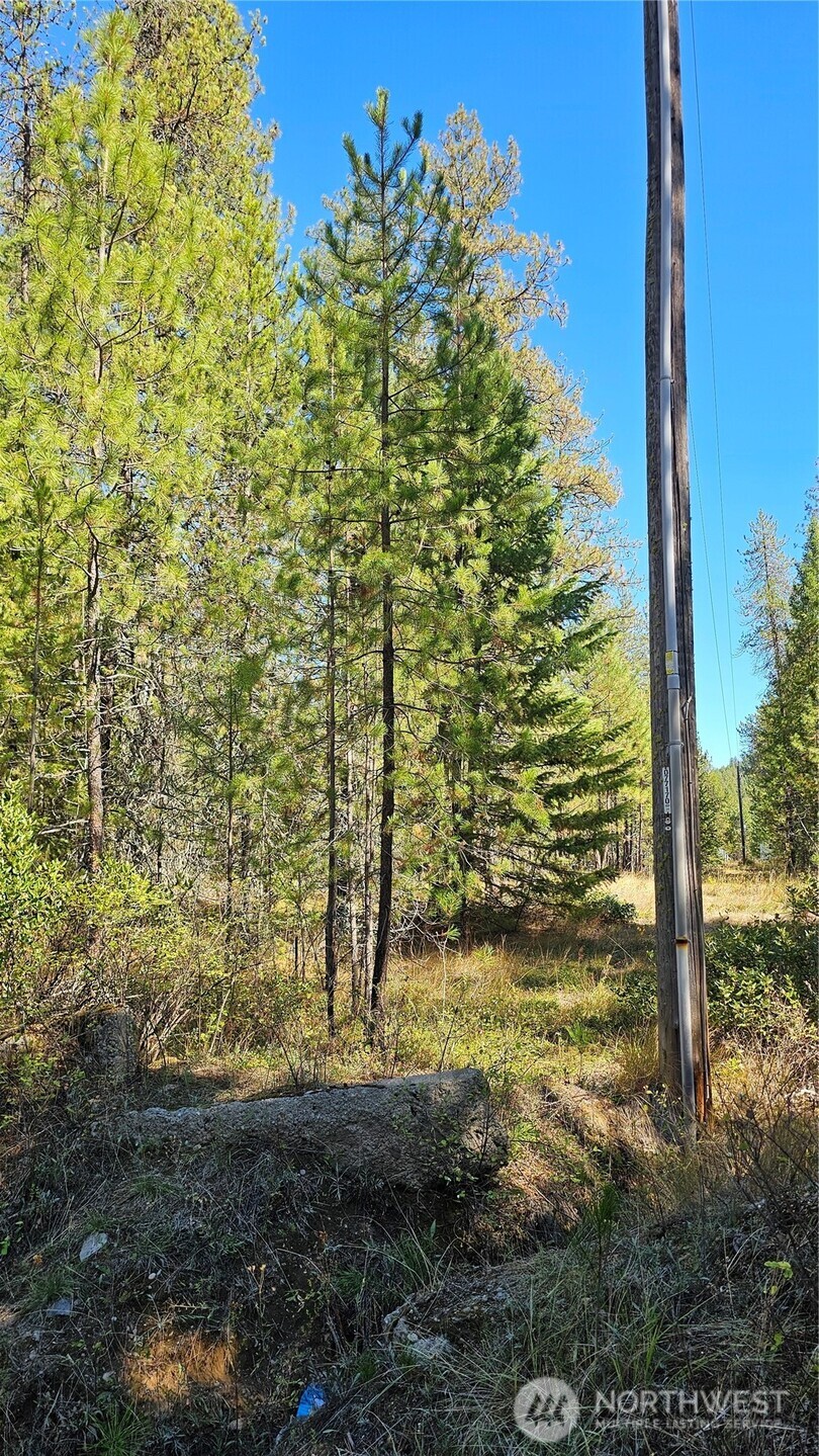 385 X Agar Road Property Photo 18