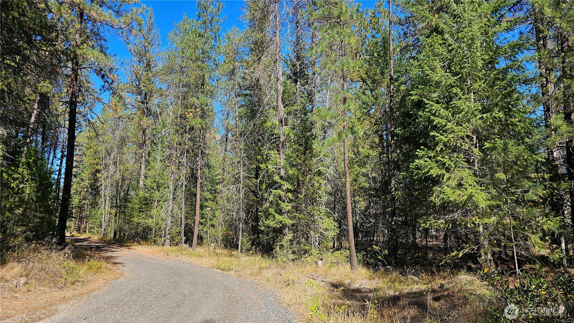 385 X Agar Road Property Photo 19