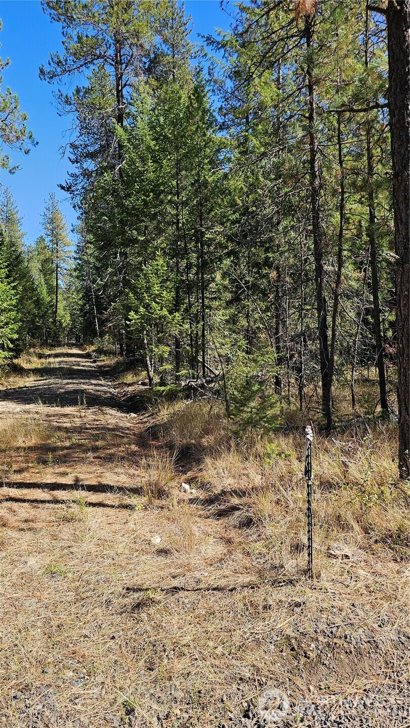 385 X Agar Road Property Photo 21
