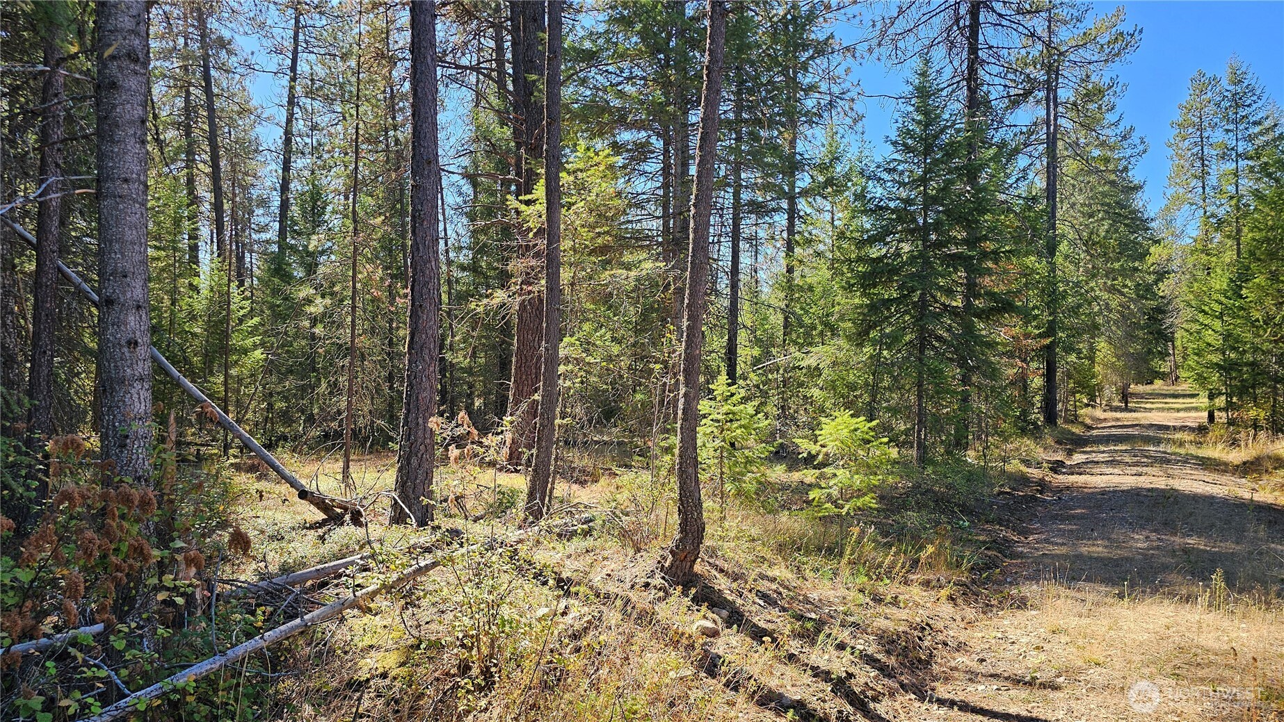 385 X Agar Road Property Photo 22