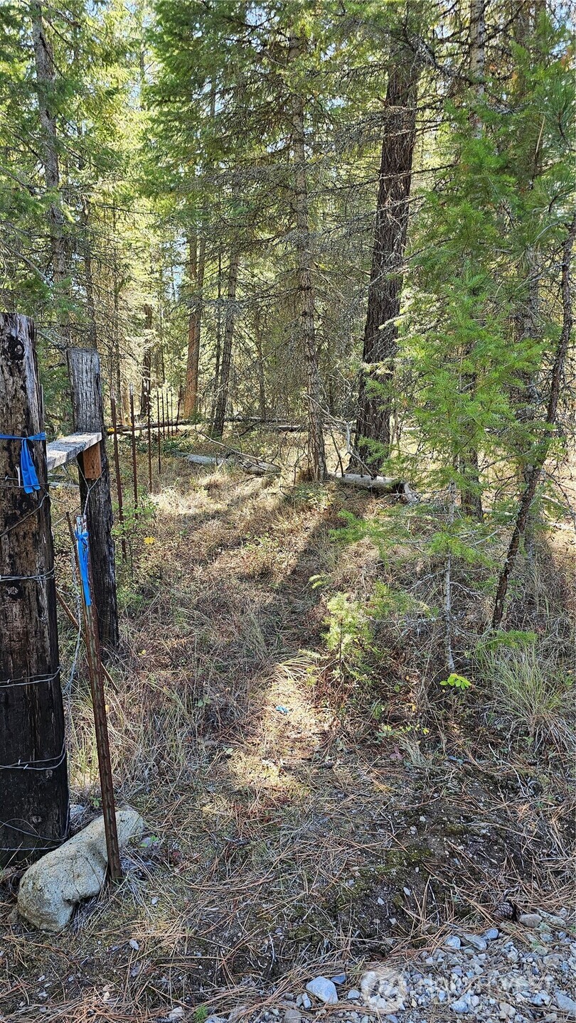 385 X Agar Road Property Photo 24
