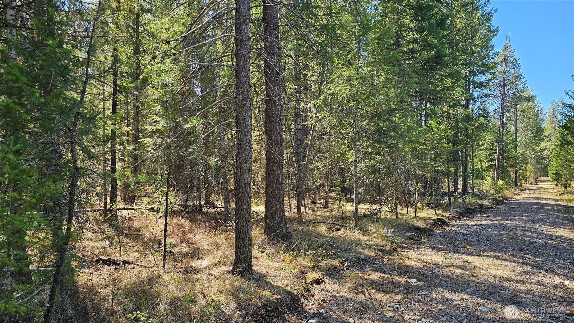 385 X Agar Road Property Photo 25
