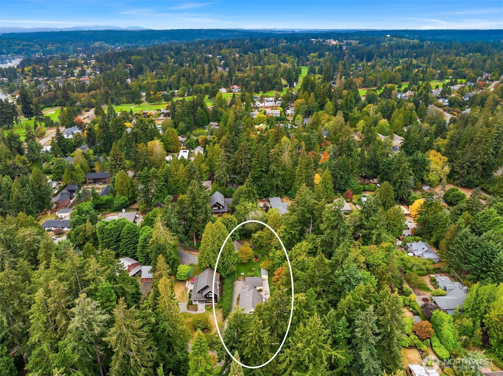 7349 Madrona Drive Property Photo 39