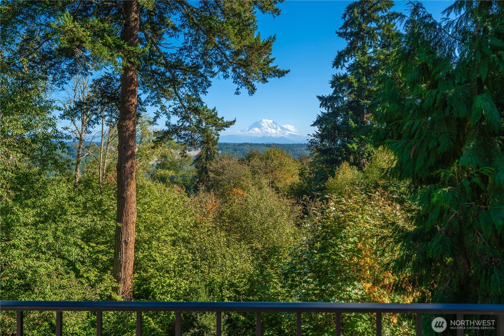13704 120th Street Property Photo 9