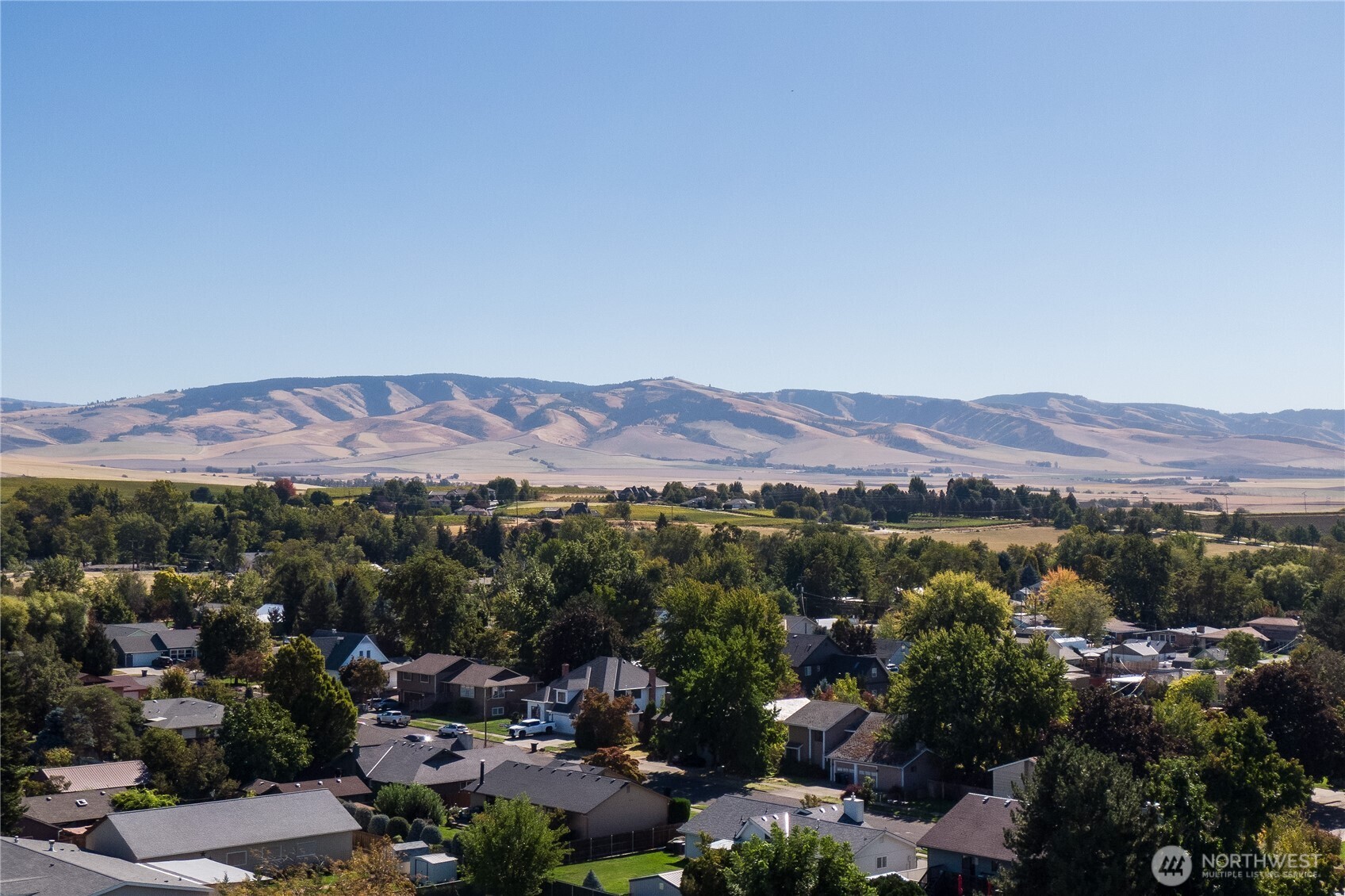 1849 Delmont Street Property Photo 3
