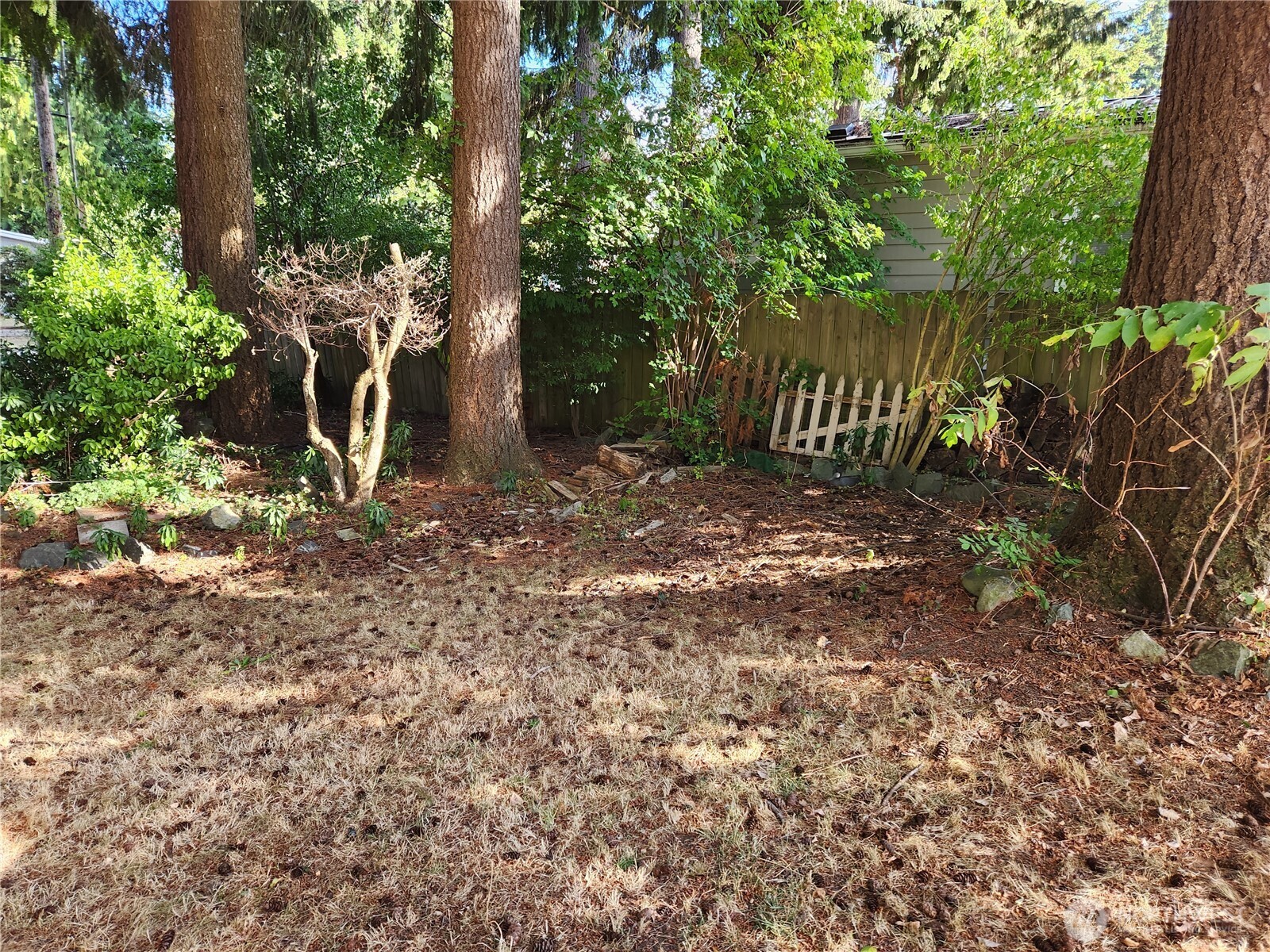 7085 Tall Cedars Lane Property Photo 22