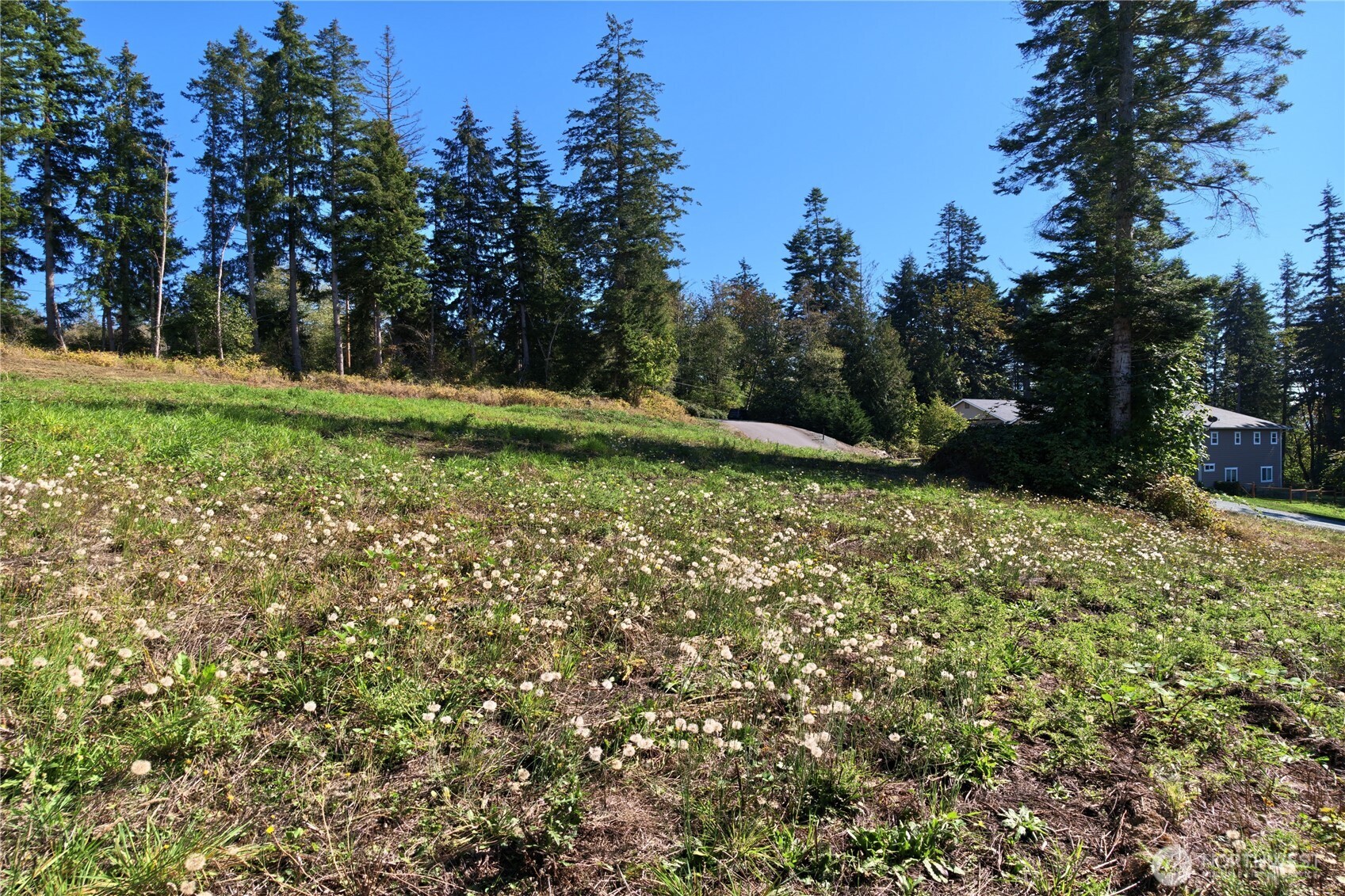 22979 Methow Court Property Photo 6
