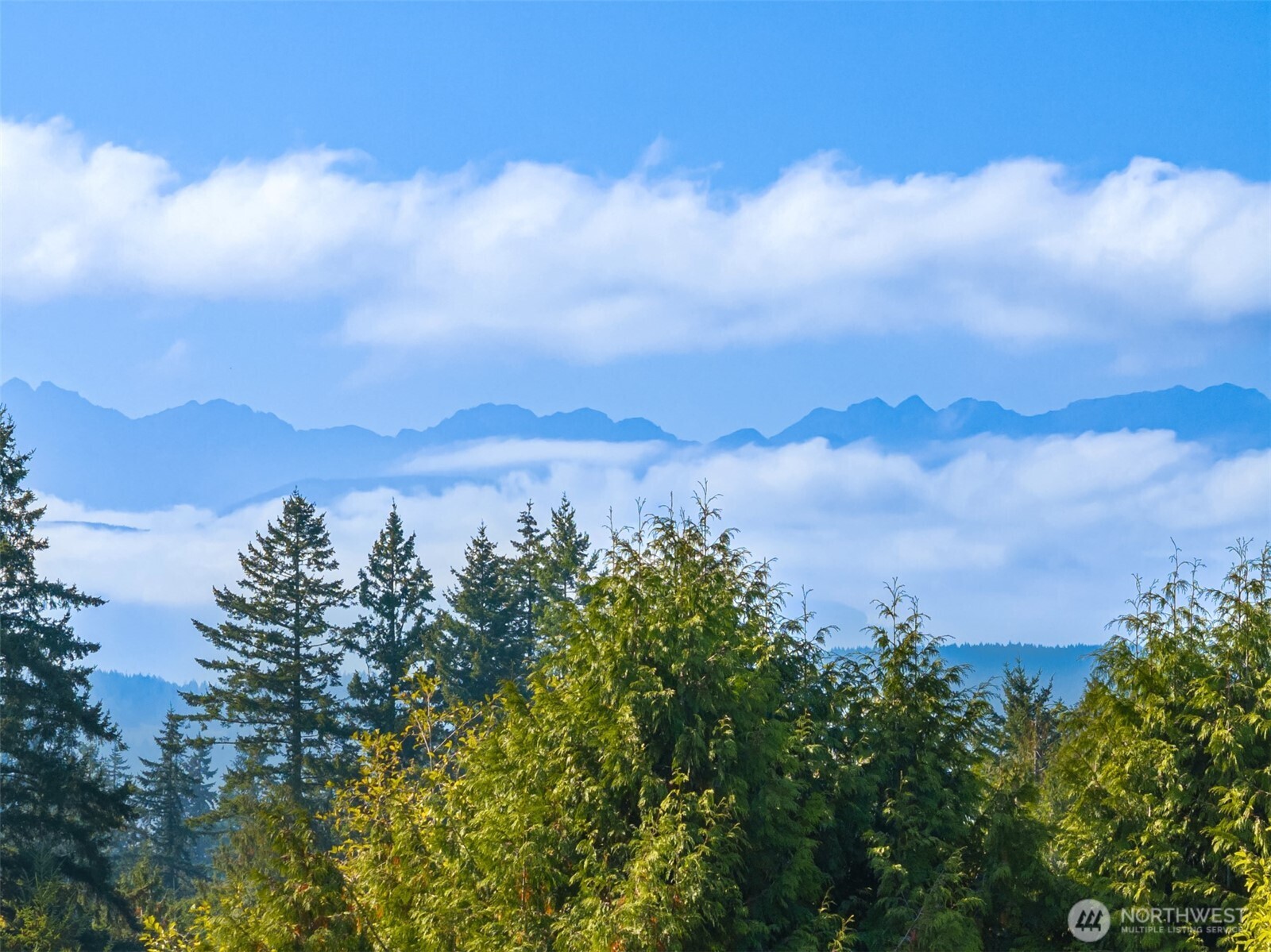 22776 Clear Creek Road Property Photo 9