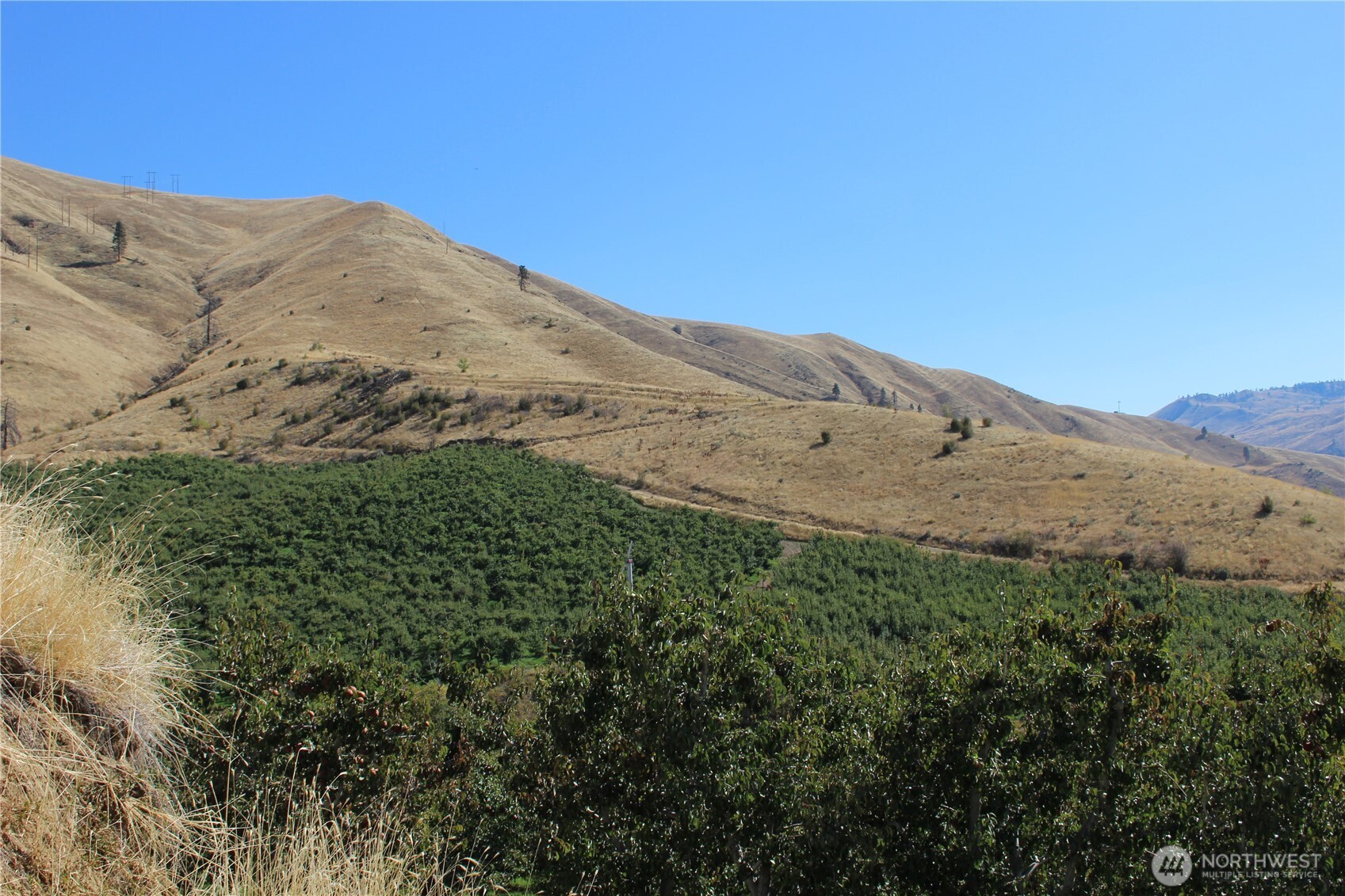 103 Dual Peak Lane Property Photo 15