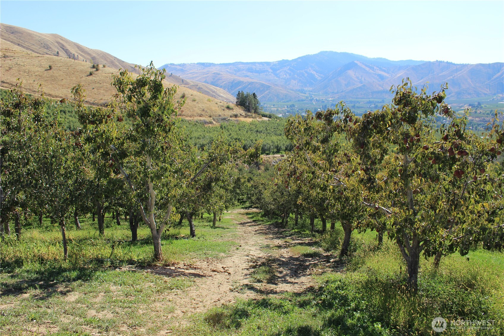 103 Dual Peak Lane Property Photo 16