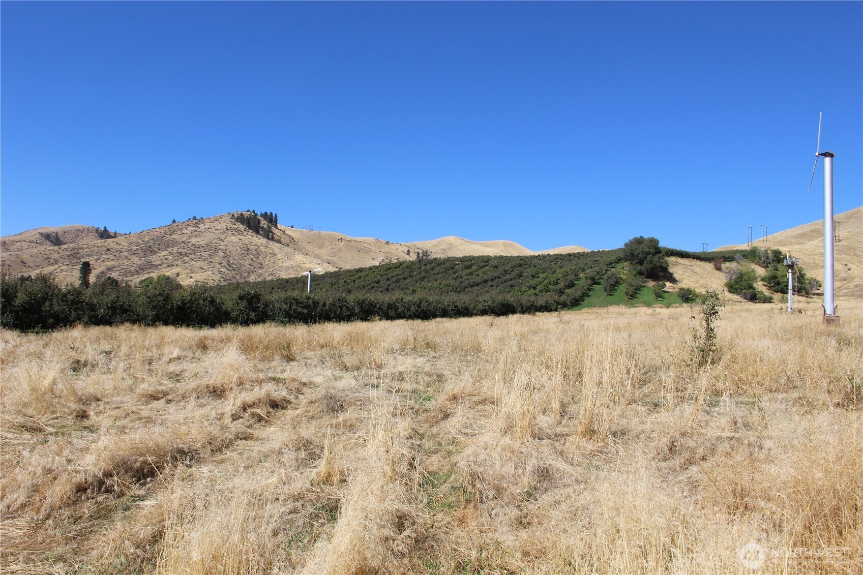 103 Dual Peak Lane Property Photo 19