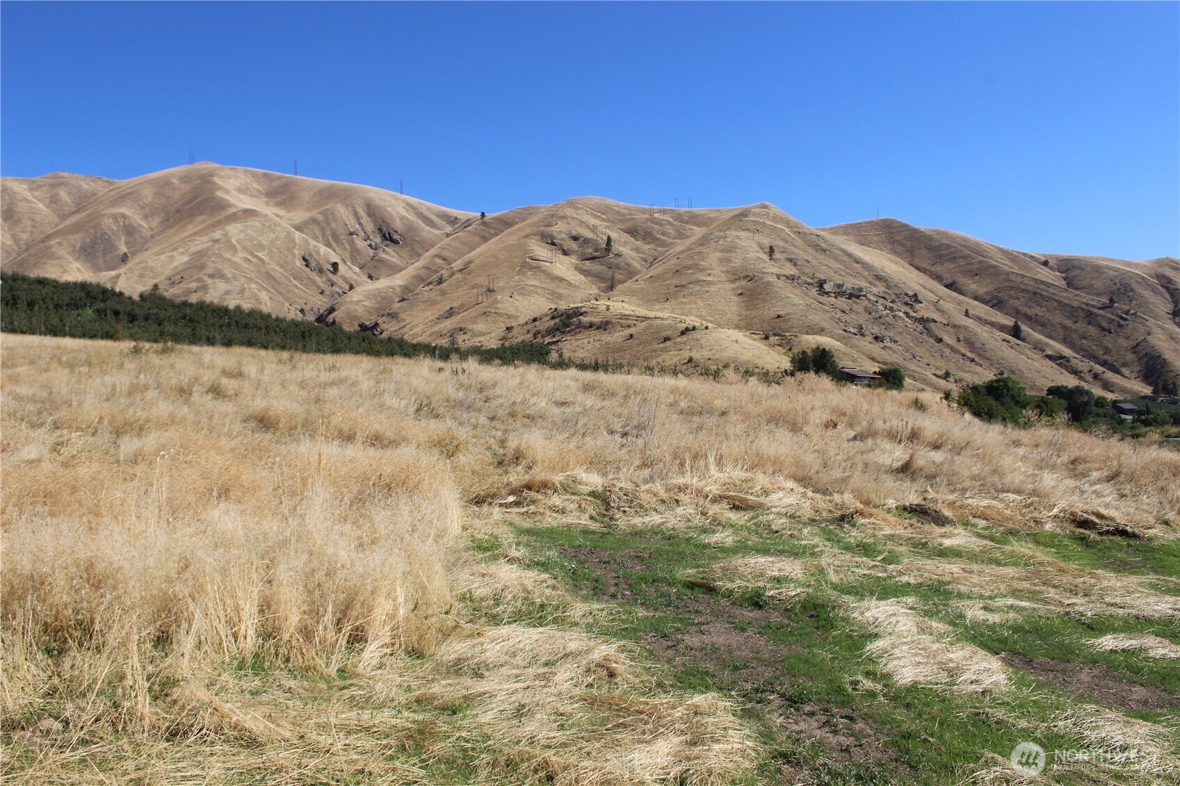 103 Dual Peak Lane Property Photo 21