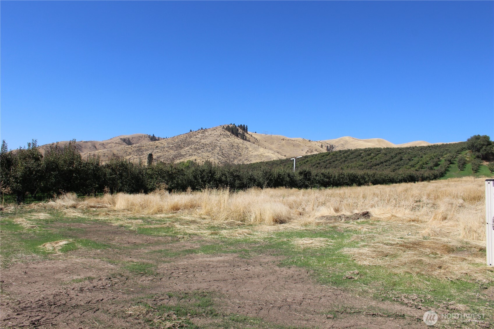 103 Dual Peak Lane Property Photo 23
