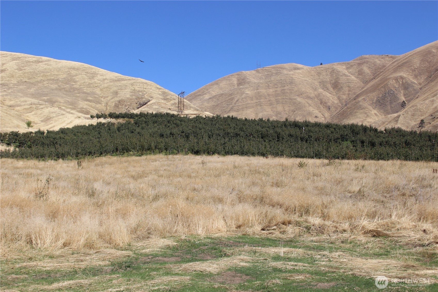 103 Dual Peak Lane Property Photo 24