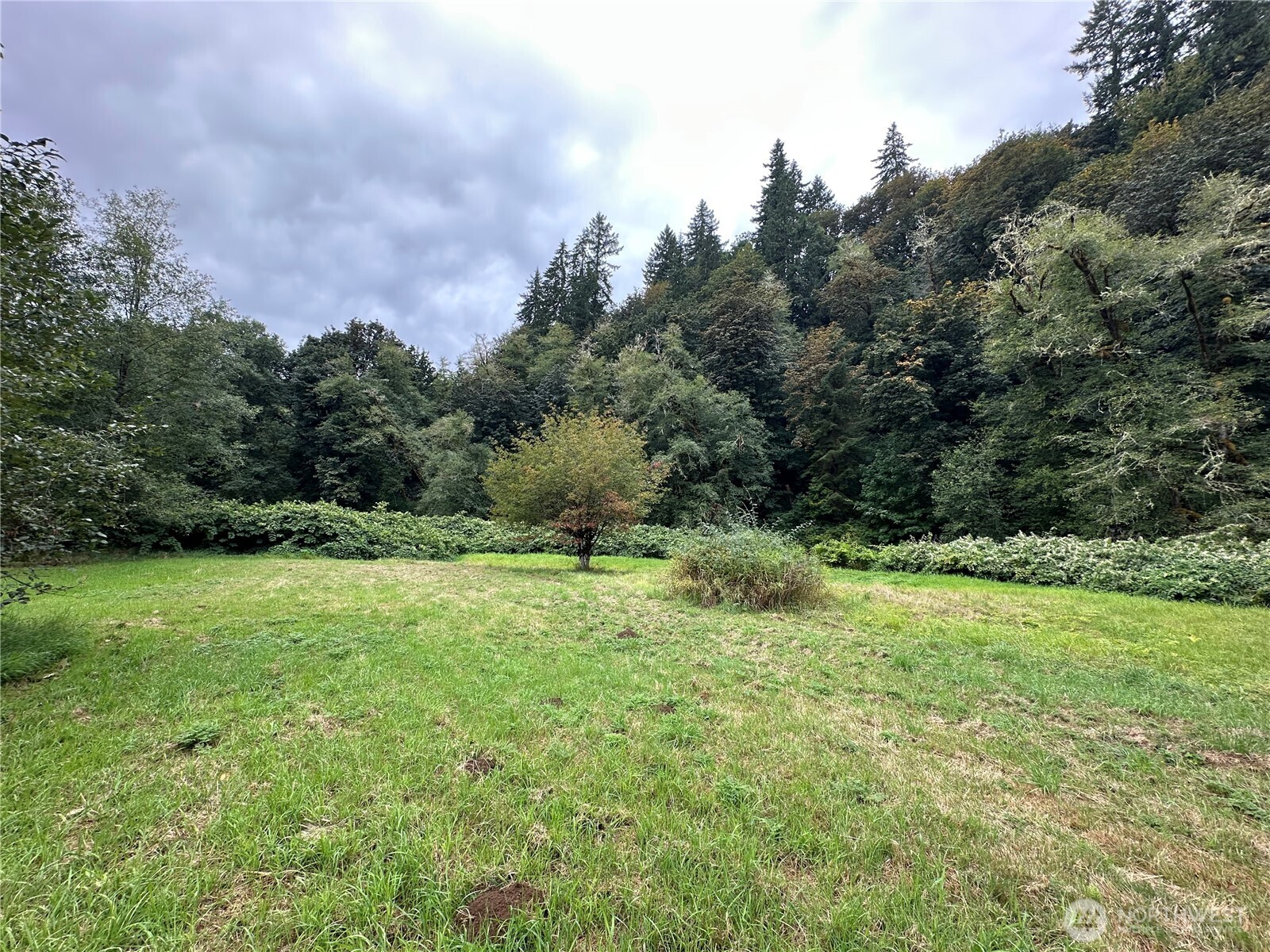 301 Langabeer Road Property Photo 16