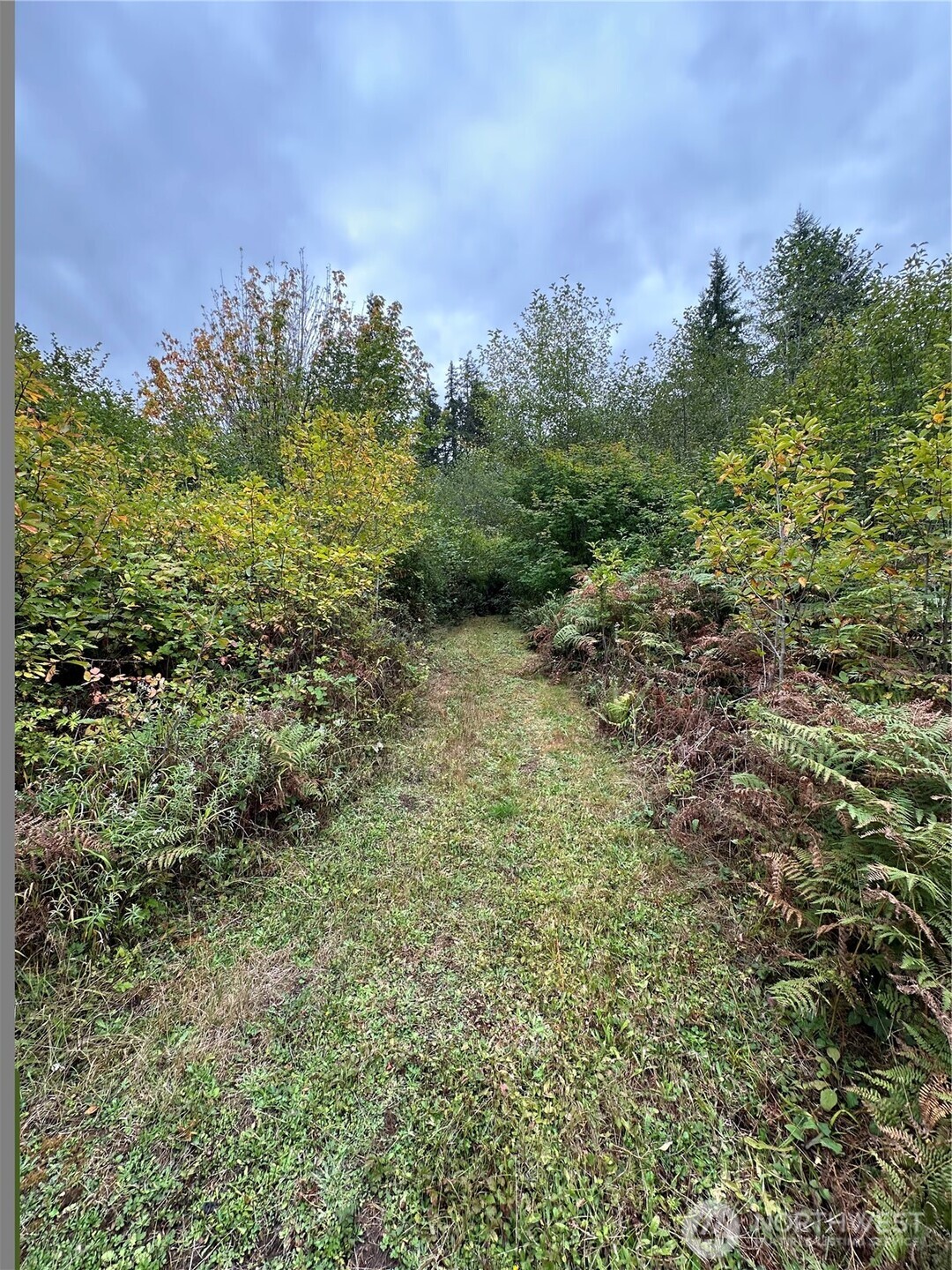 301 Langabeer Road Property Photo 21