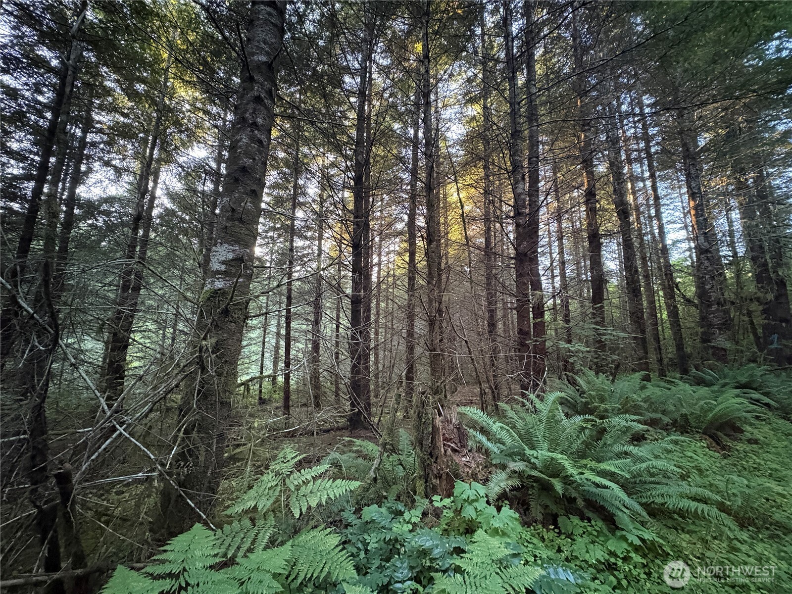 0 Nka Wiest Road Property Photo 3