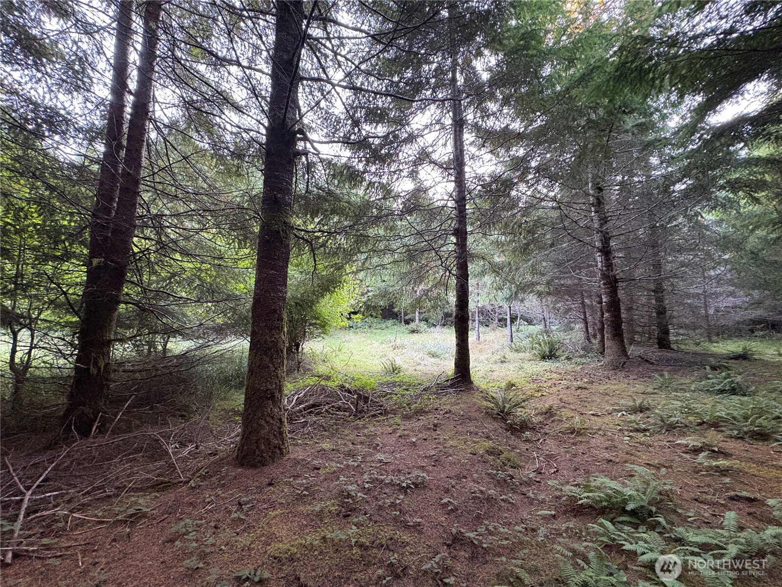 0 Nka Wiest Road Property Photo 5