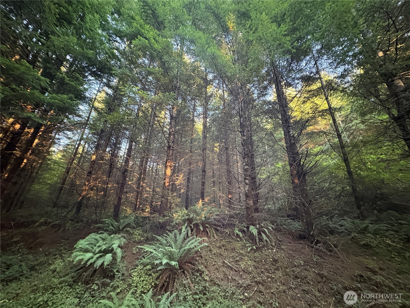 0 Nka Wiest Road Property Photo 8