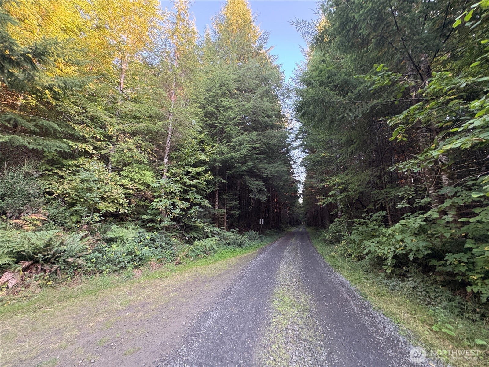 0 Nka Wiest Road Property Photo 11