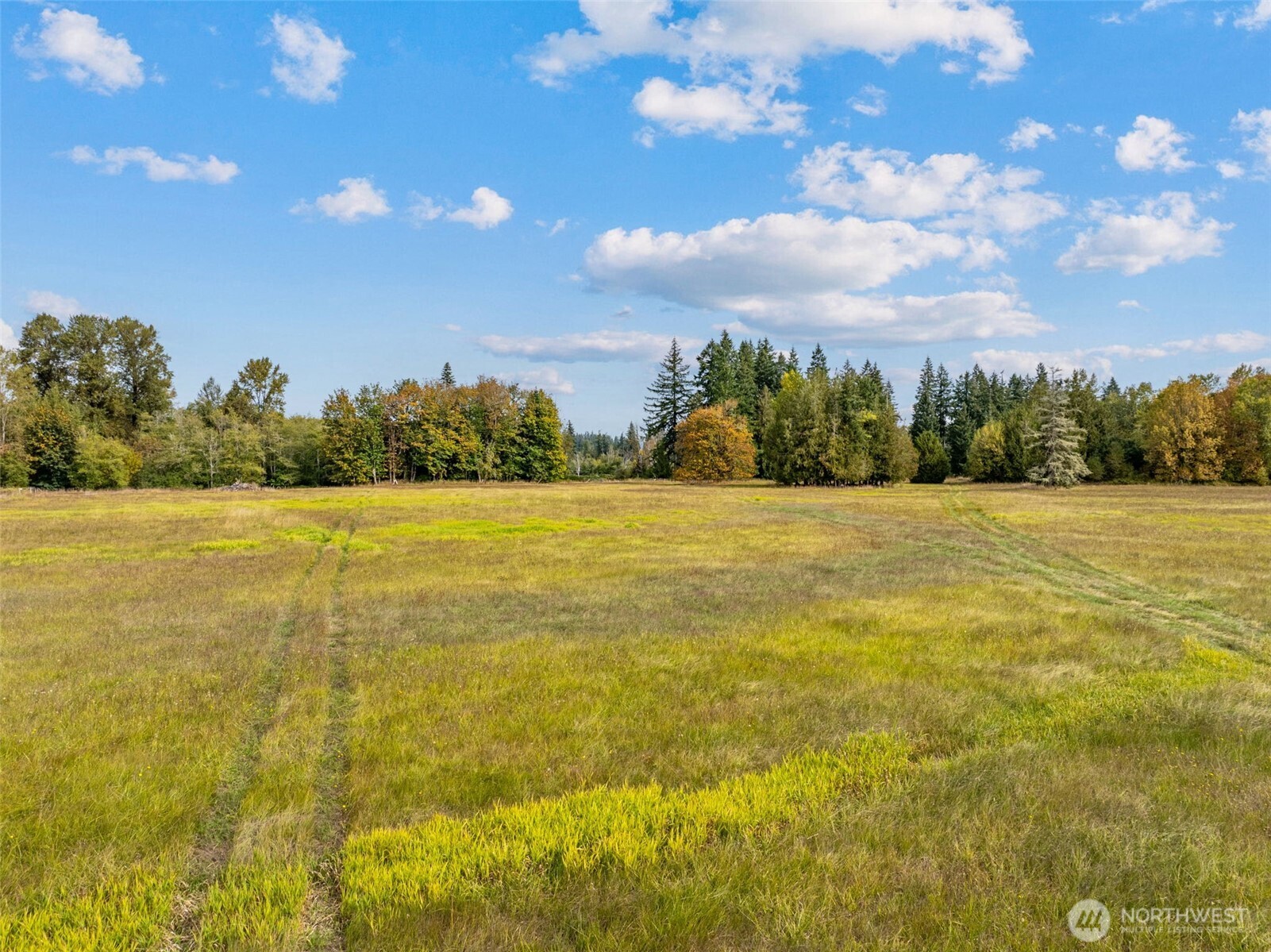 829 Gish Road Property Photo 8
