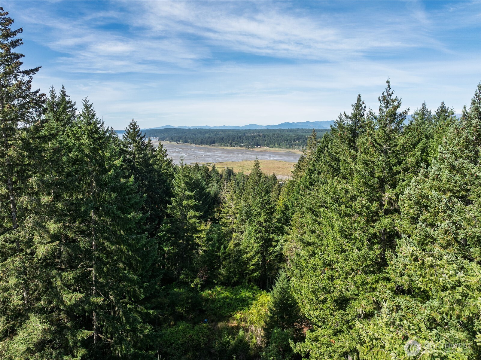 0 NE WJ Way Property Photo 1