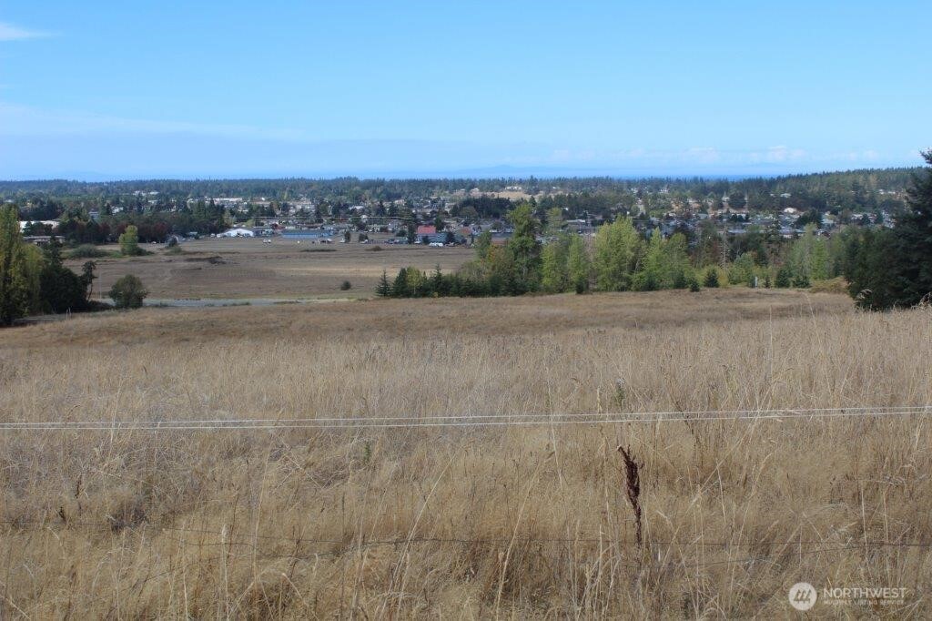 0 Miller Road Property Photo 8
