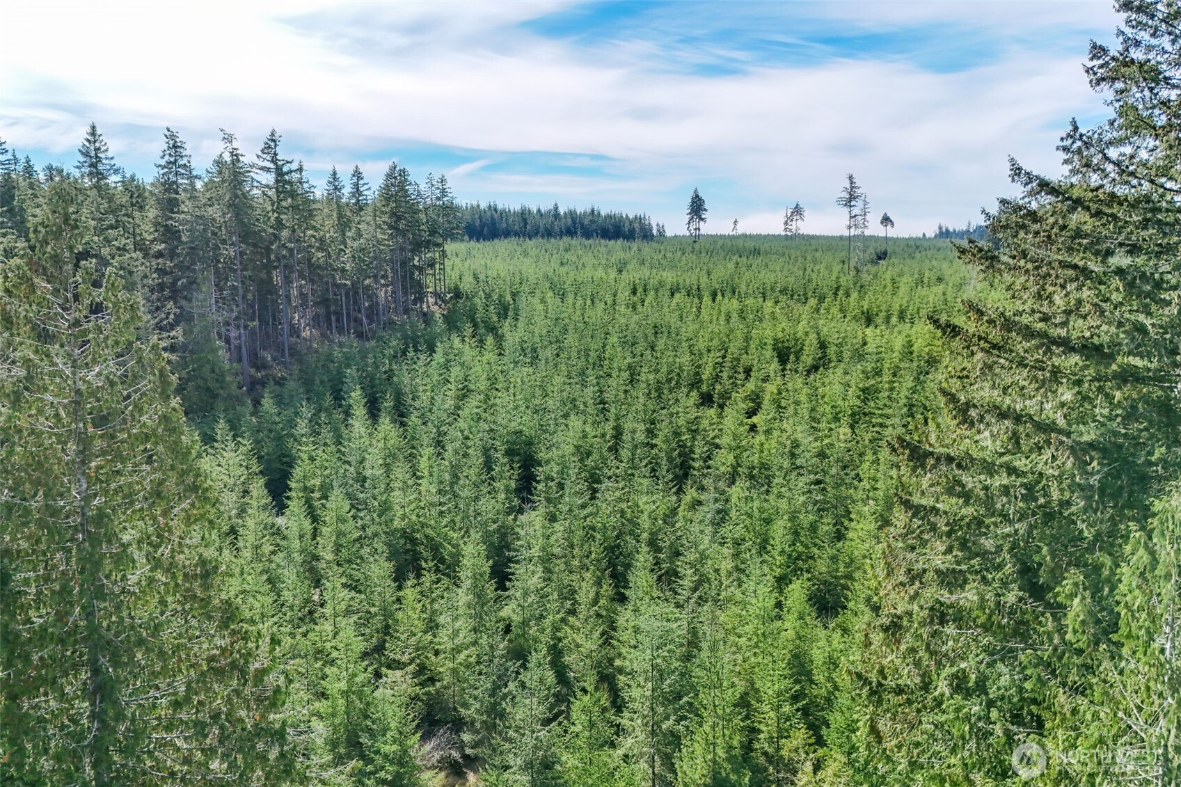 90 E Snow Cap Drive Property Photo 32