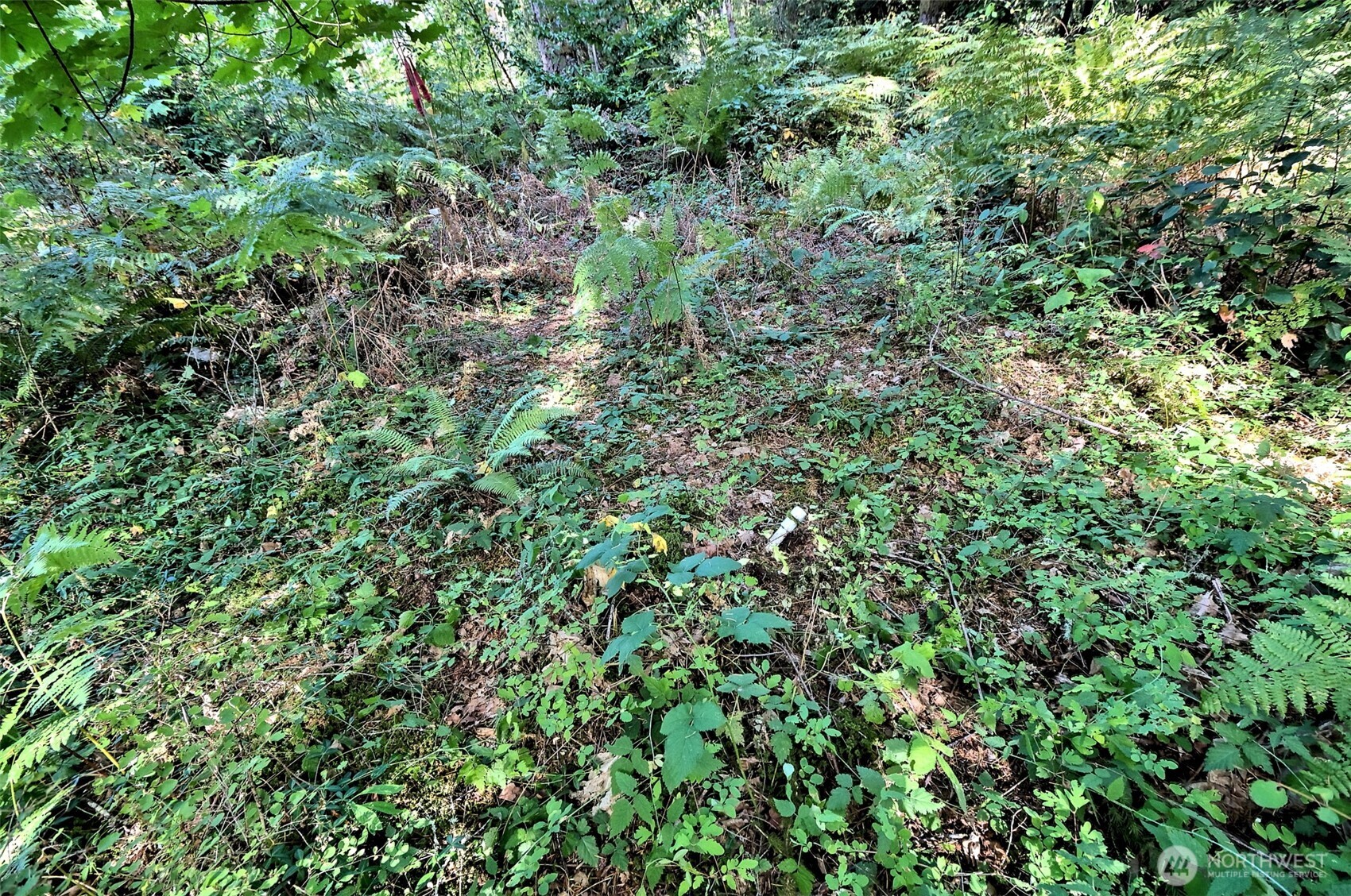 2471 Se Binns Swiger Loop Road Property Photo 35