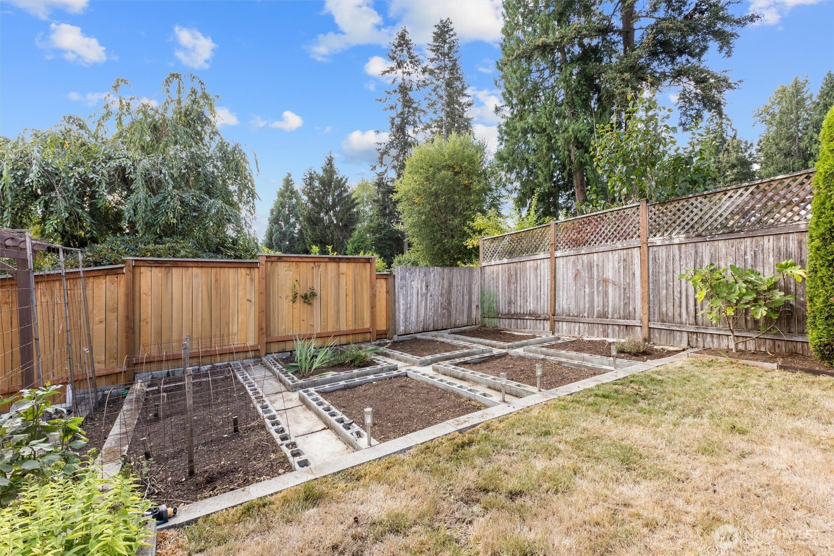 20308 13th Drive Property Photo 34