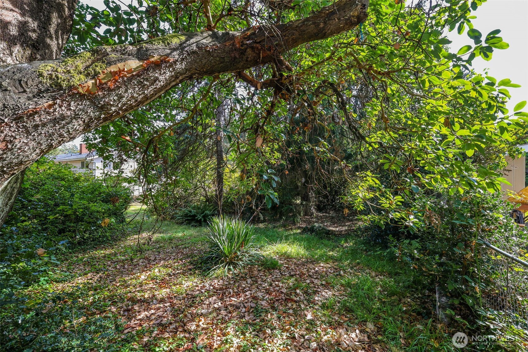 0 Xxx Sw 143rd Street Property Photo 11