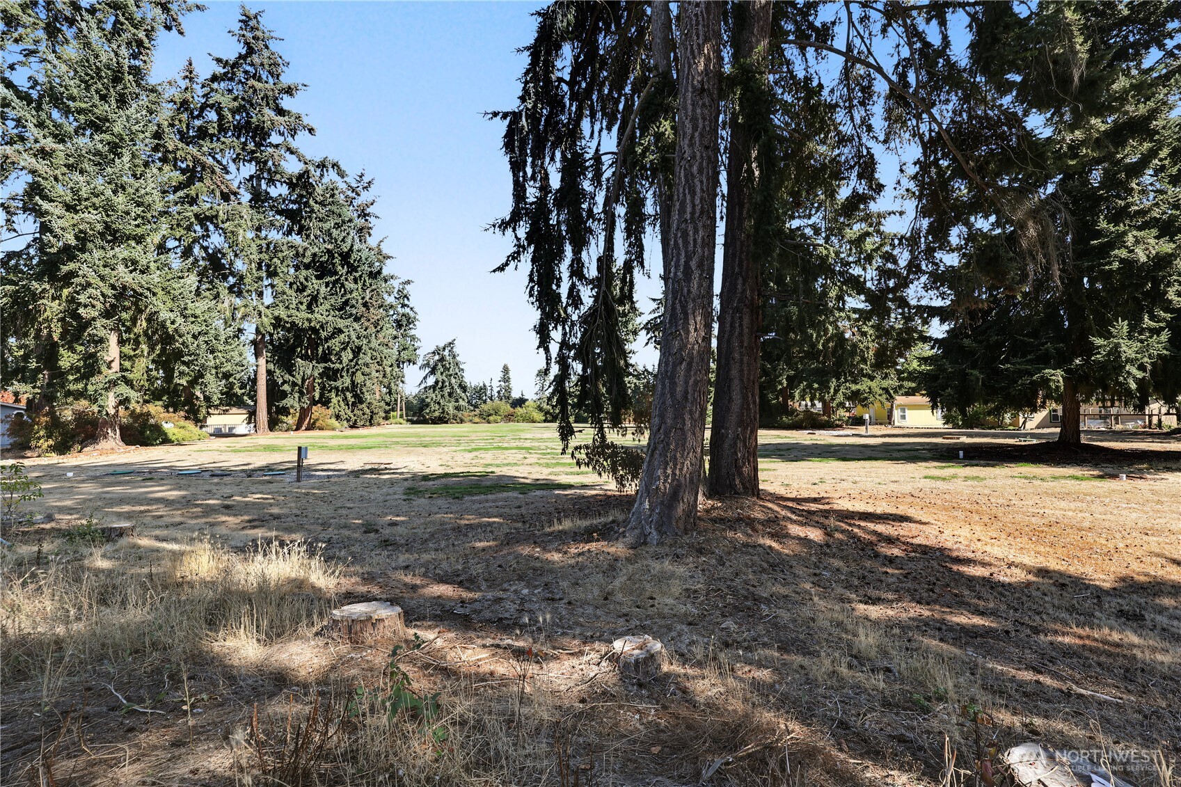 161 Fircrest Drive Dr Property Photo 29