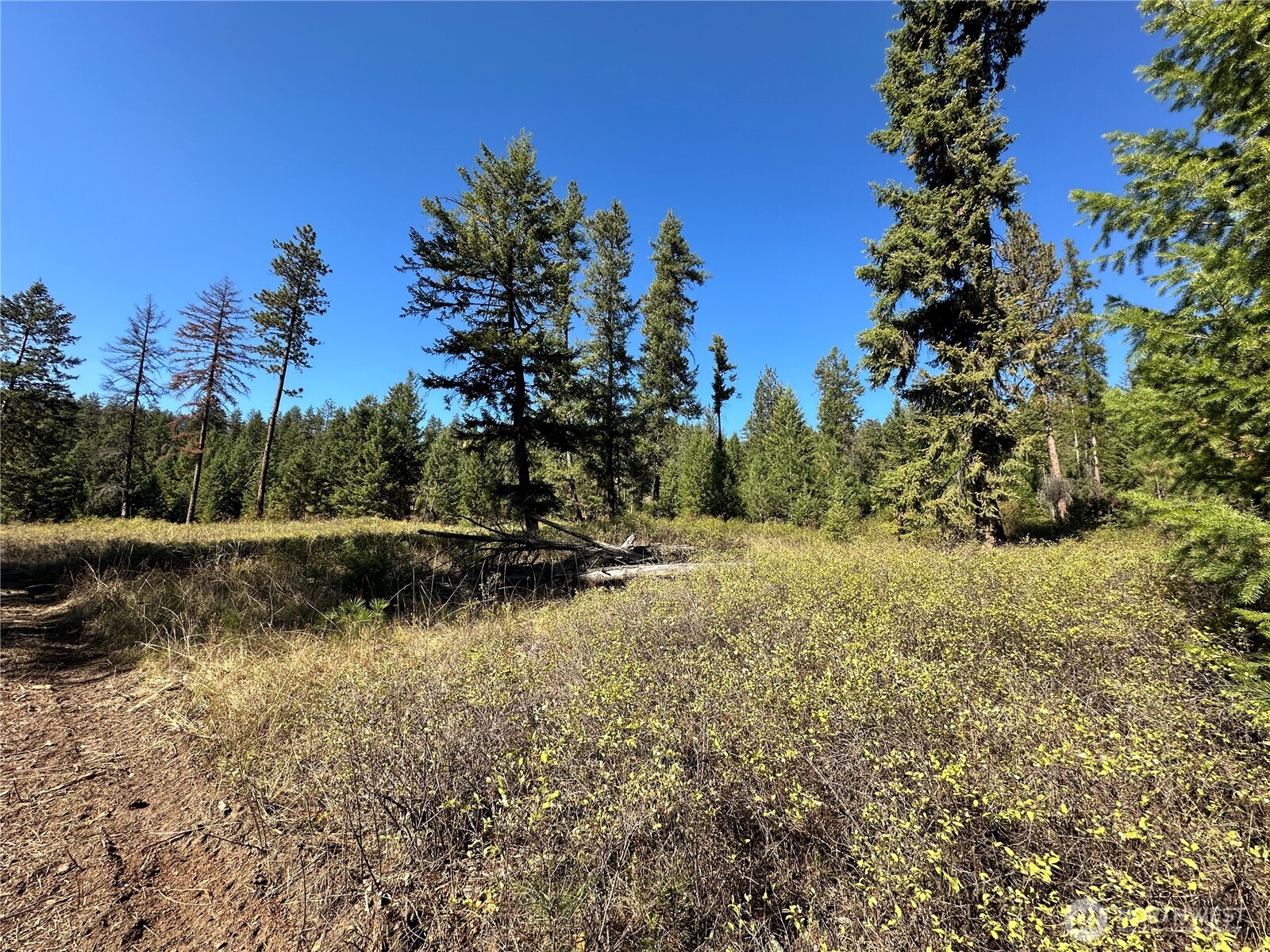 1 Lot 1 Deadman Creek Rd Property Photo 2
