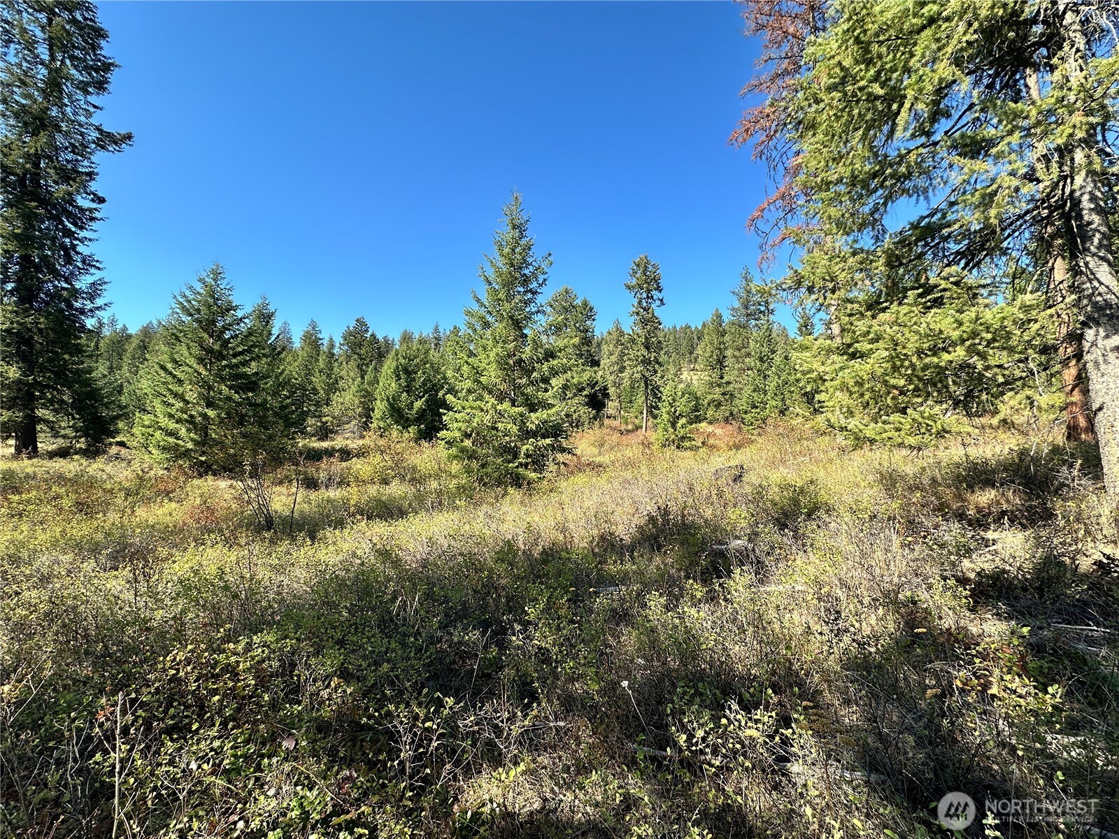 1 Lot 1 Deadman Creek Rd Property Photo 3