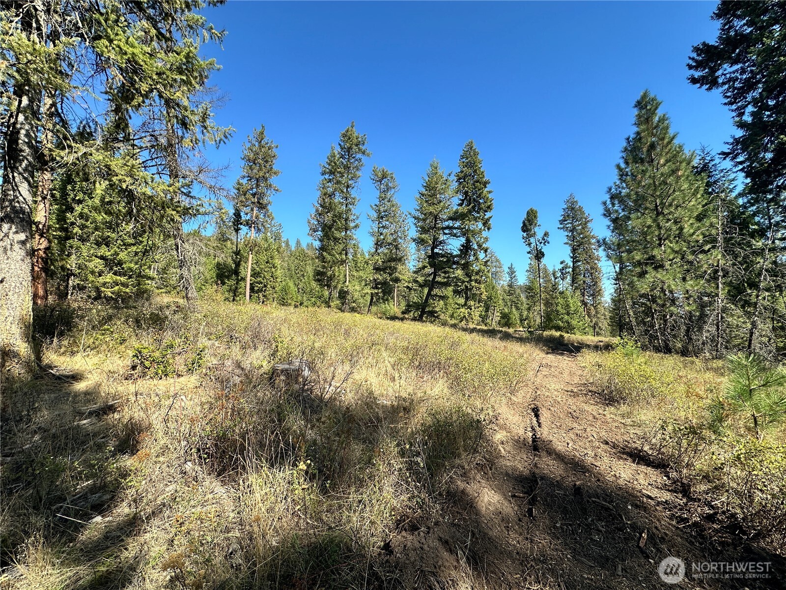 1 Lot 1 Deadman Creek Rd Property Photo 4