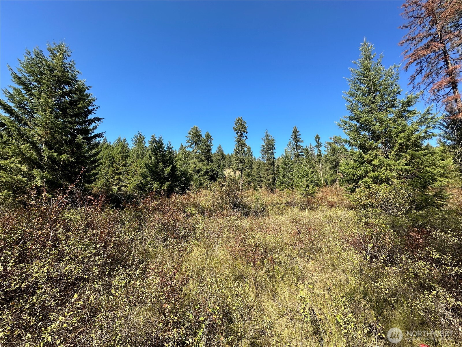 1 Lot 1 Deadman Creek Rd Property Photo 5