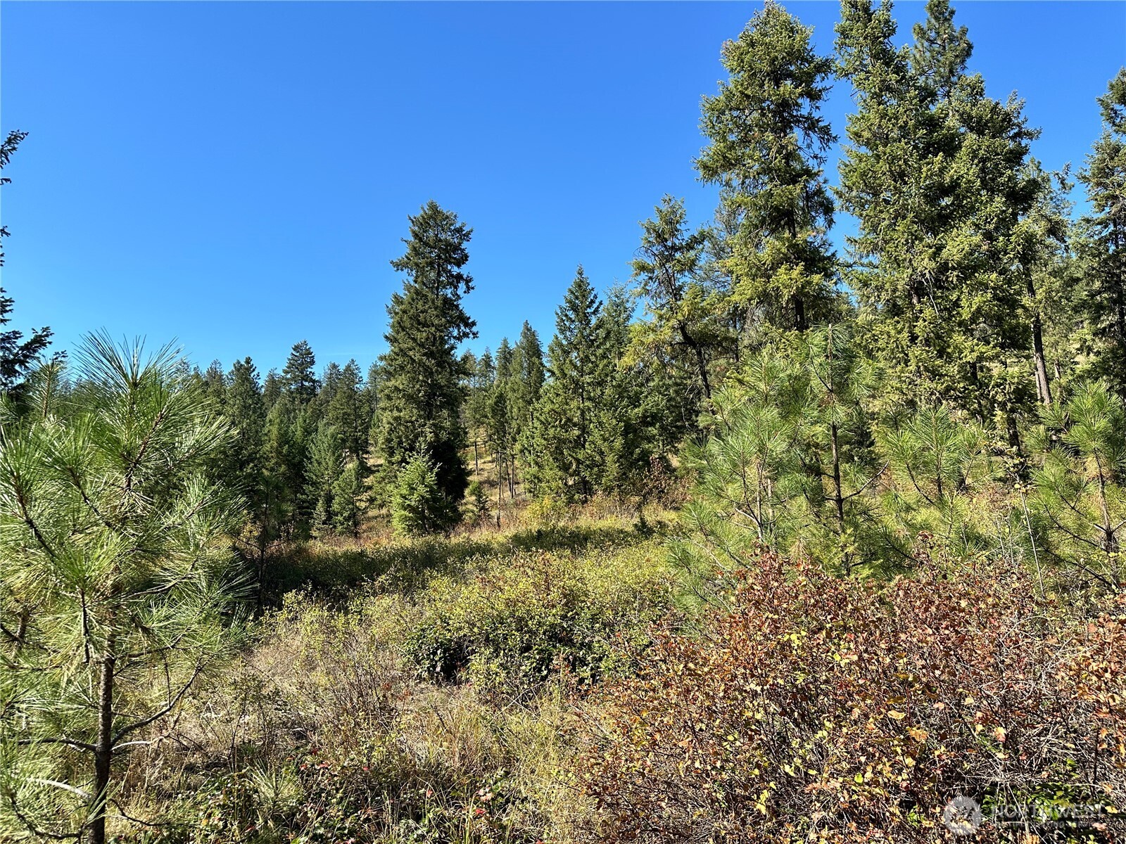 1 Lot 1 Deadman Creek Rd Property Photo 6
