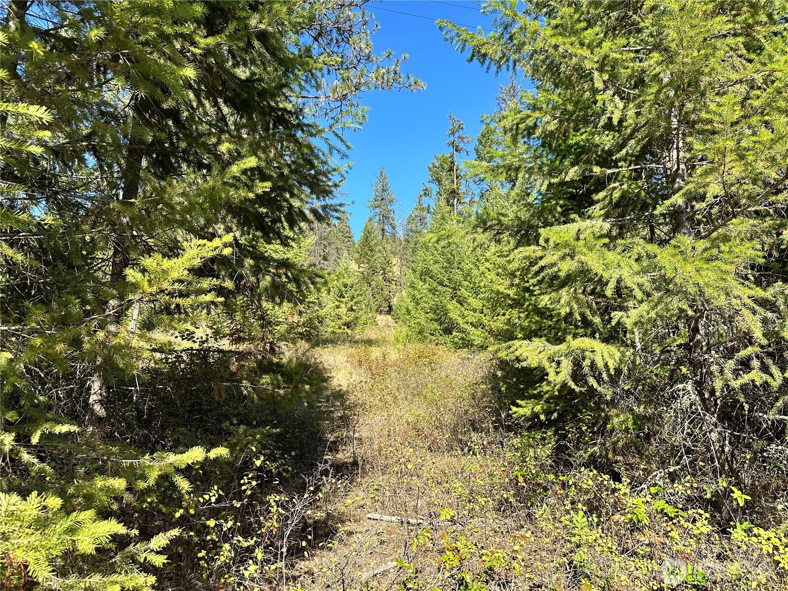 1 Lot 1 Deadman Creek Rd Property Photo 7