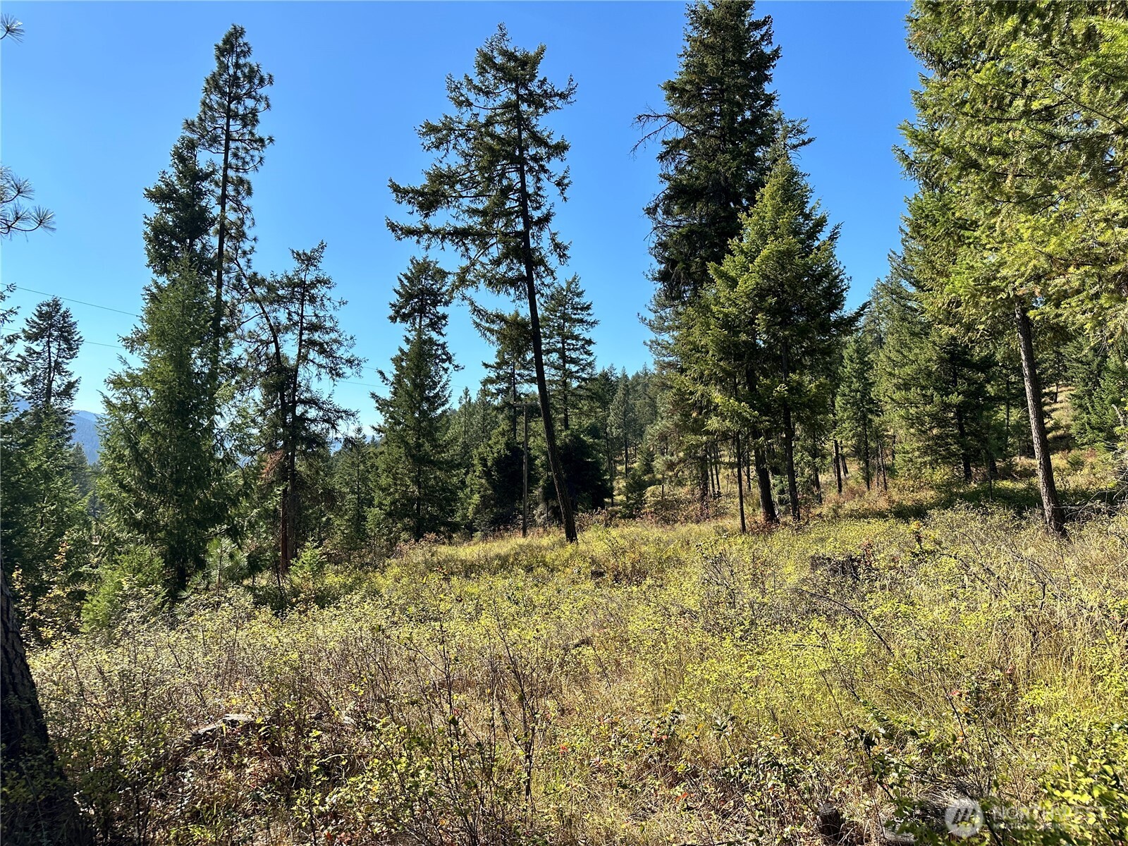 1 Lot 1 Deadman Creek Rd Property Photo 8