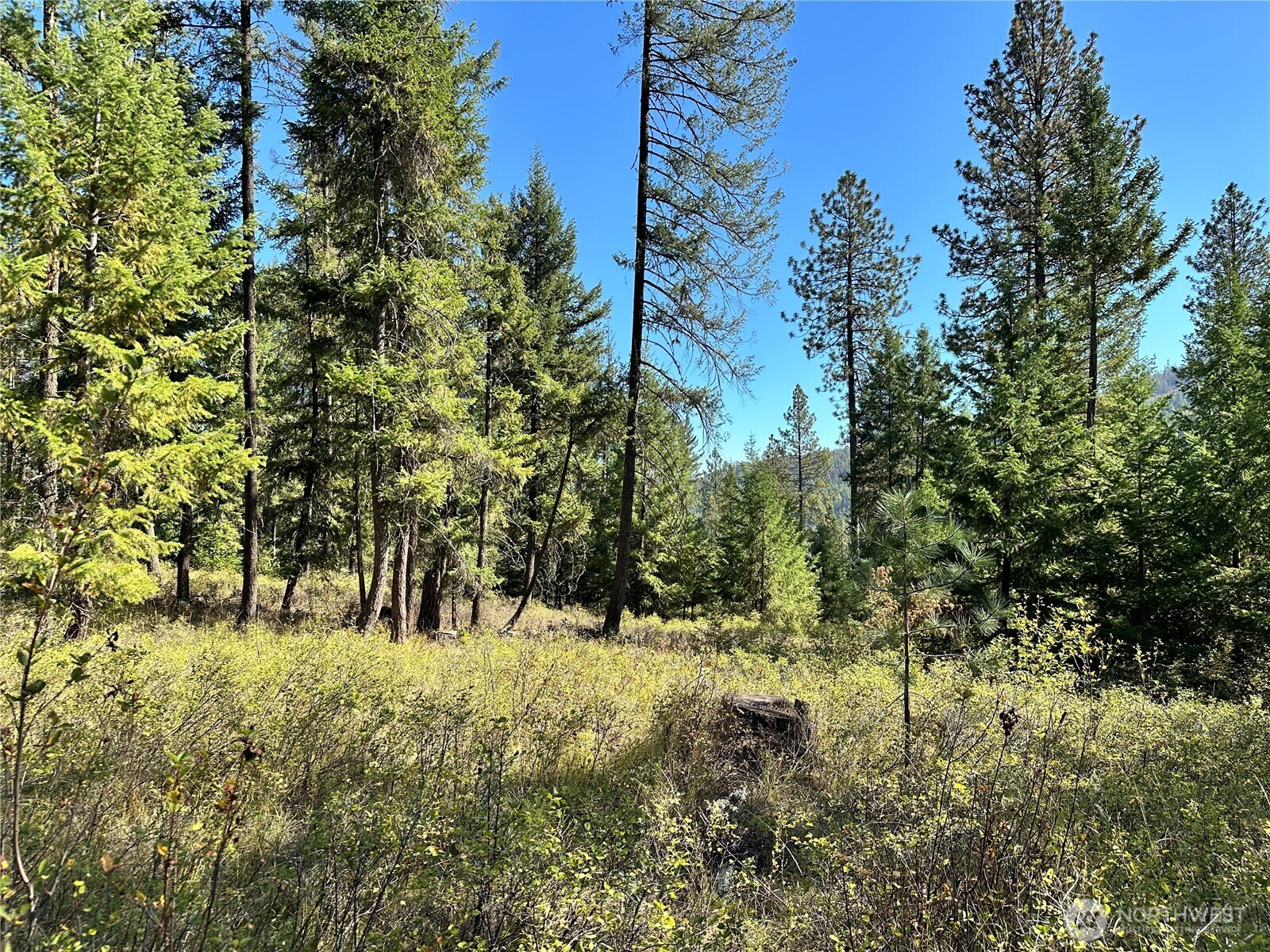1 Lot 1 Deadman Creek Rd Property Photo 9