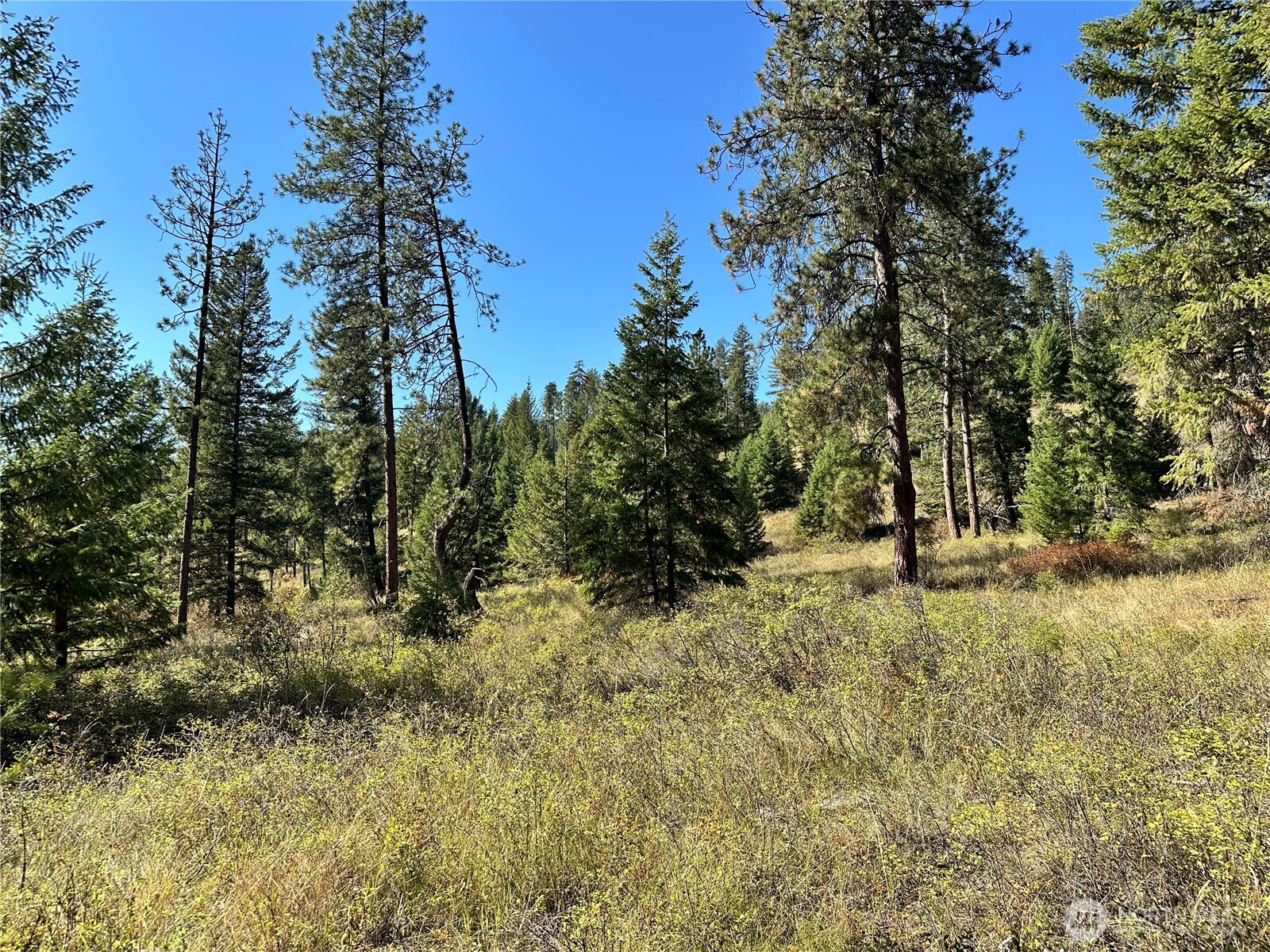 1 Lot 1 Deadman Creek Rd Property Photo 10