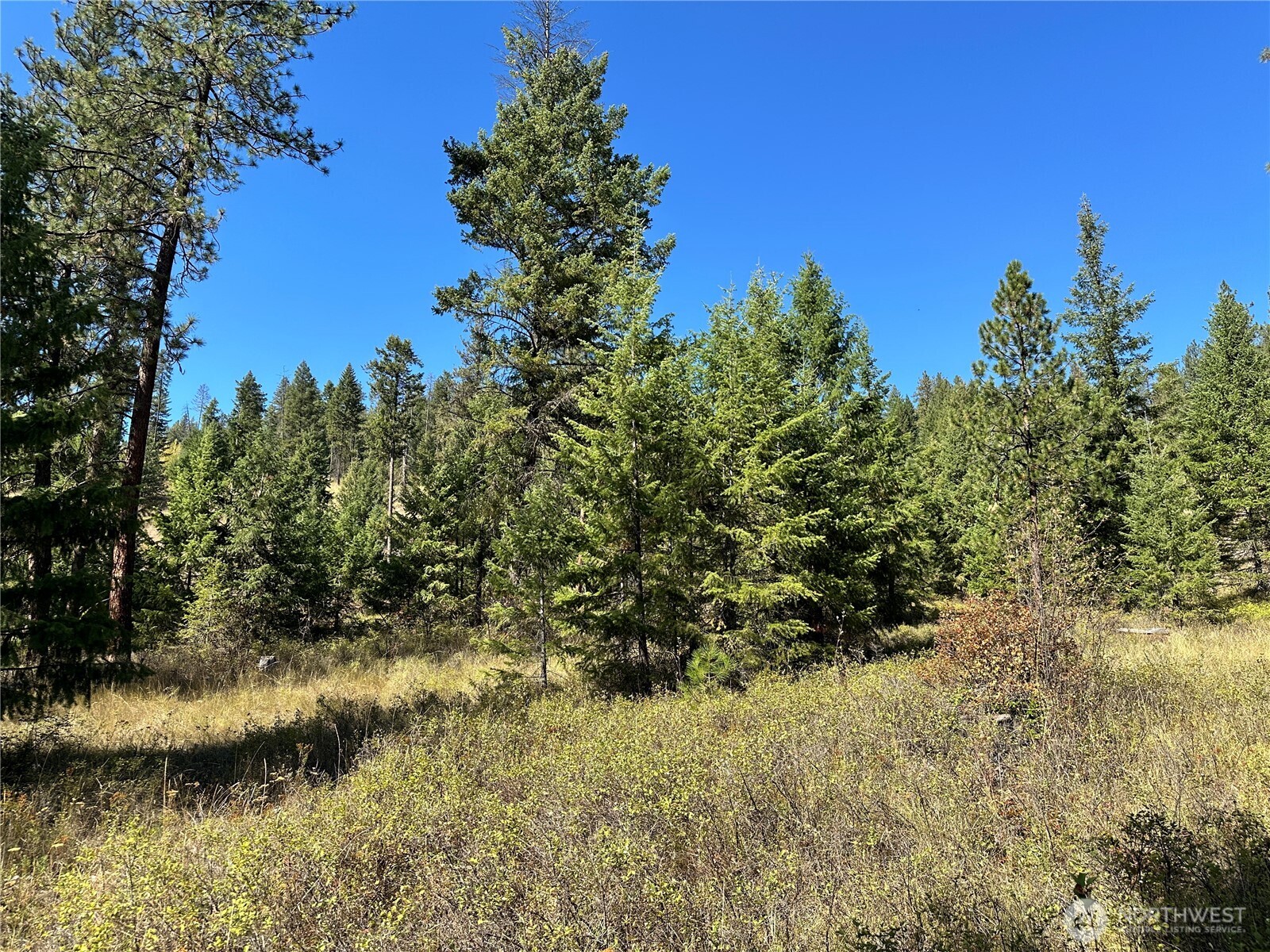 1 Lot 1 Deadman Creek Rd Property Photo 11