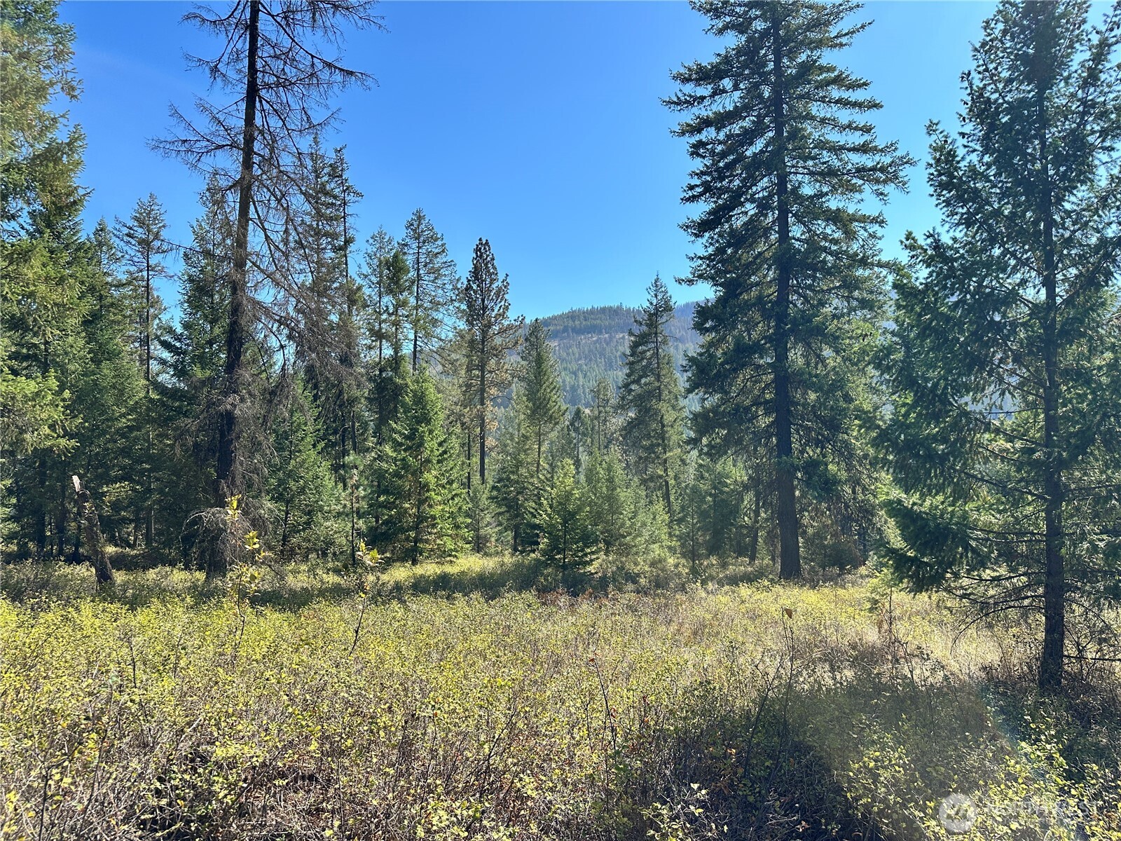 1 Lot 1 Deadman Creek Rd Property Photo 12