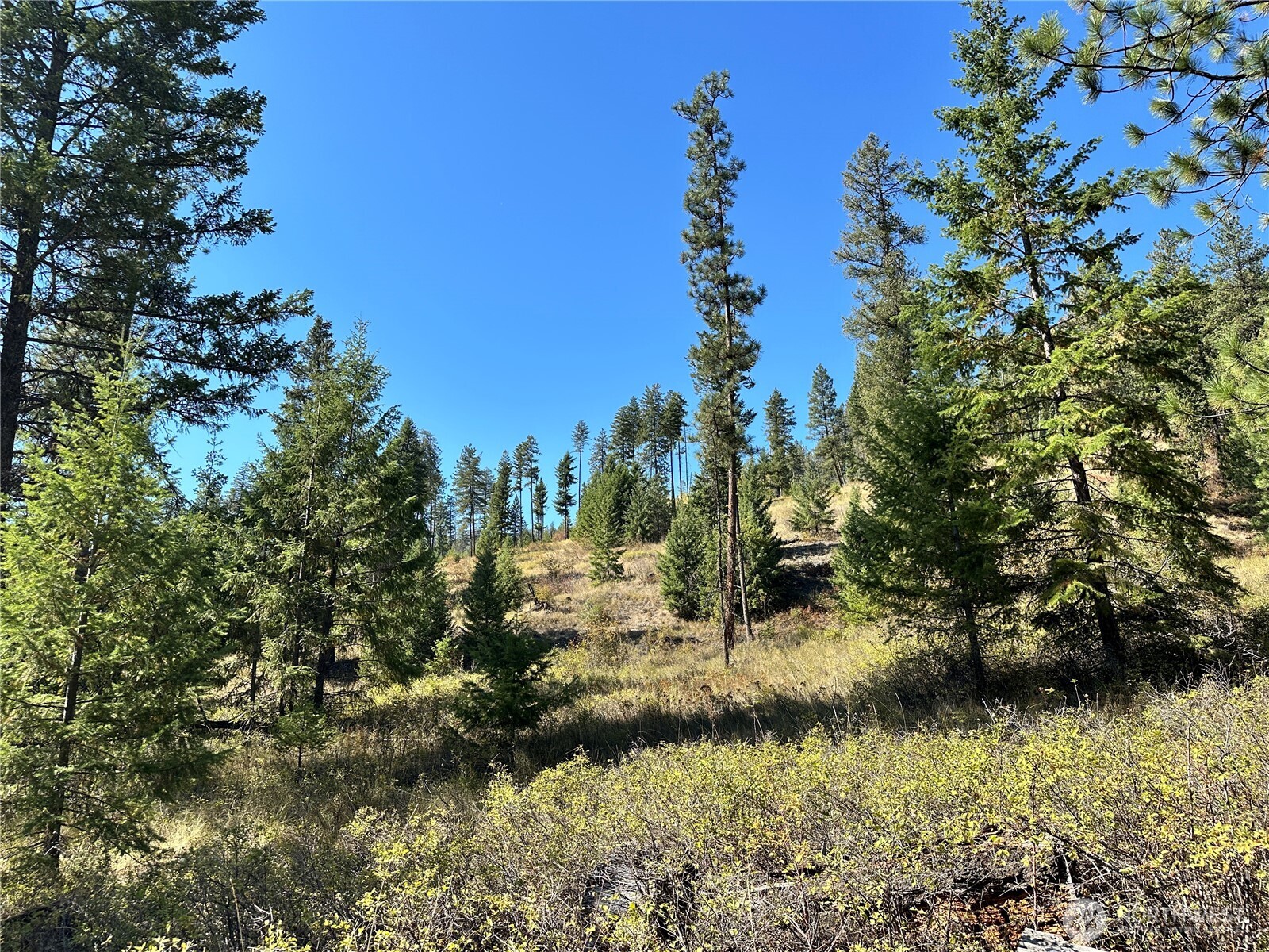 1 Lot 1 Deadman Creek Rd Property Photo 13