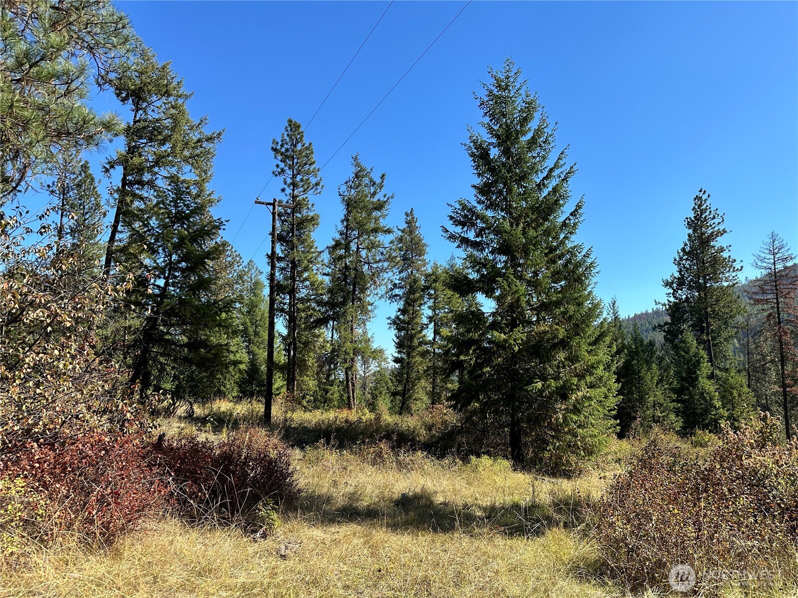 1 Lot 1 Deadman Creek Rd Property Photo 14