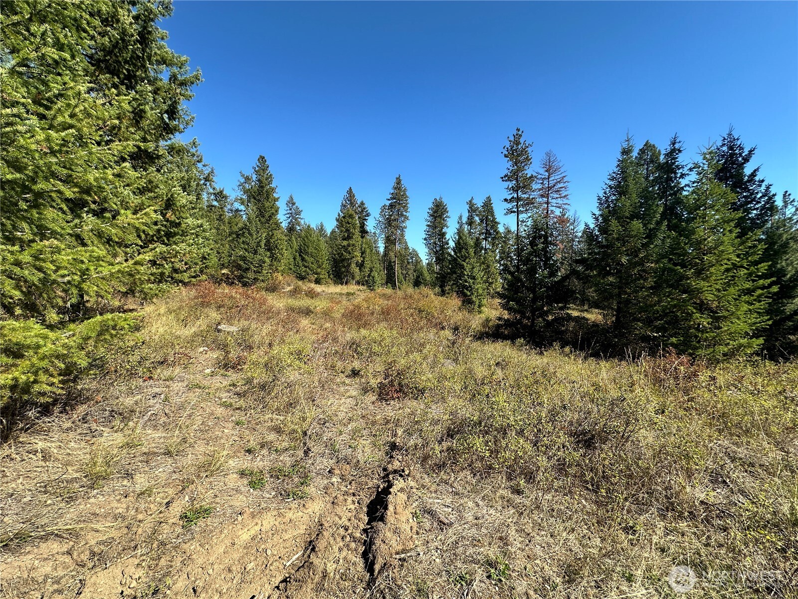 1 Lot 1 Deadman Creek Rd Property Photo 15